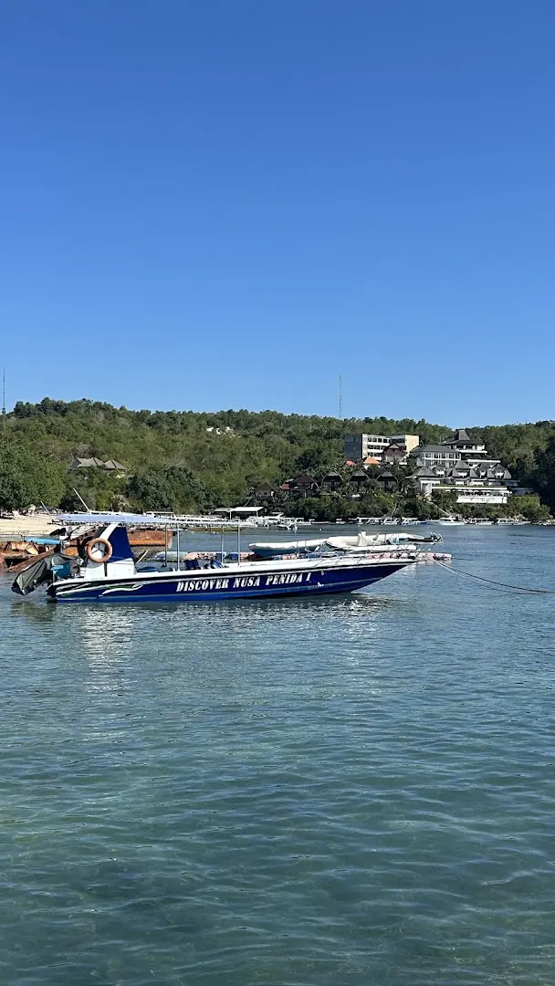 A speedboat in a green lagoon