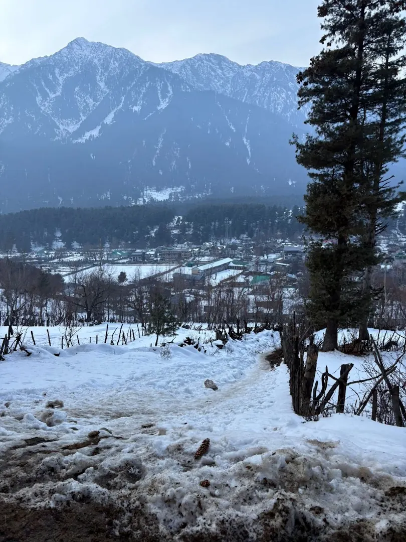 Snow under pines on a Himalayan road