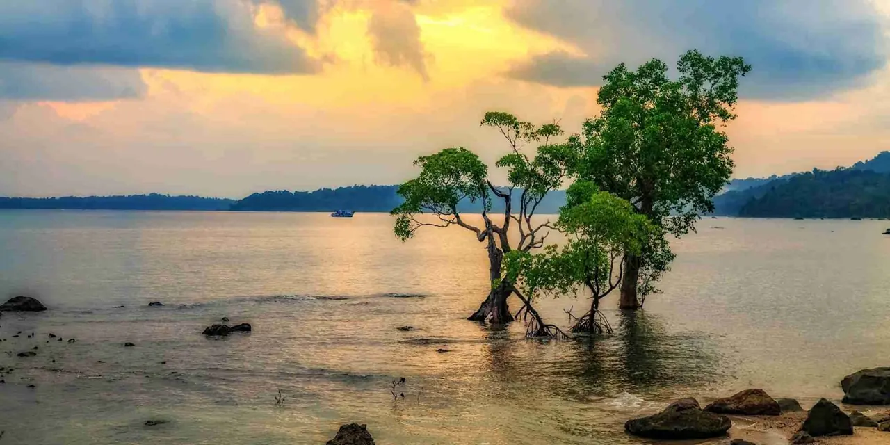 Andaman 3 — 3N Port Blair + 2N Havelock Island + 1N Neil island