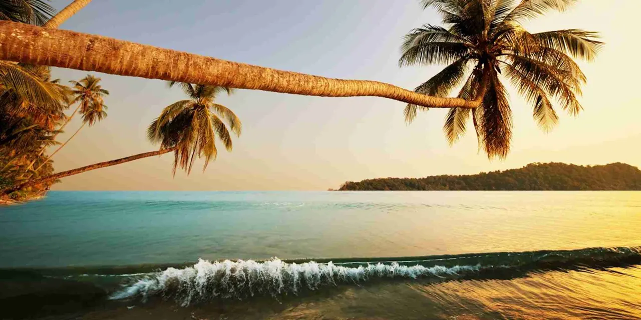 Andaman 20 — 2N Port Blair + 2N Havelock Island + 1N Neil Island