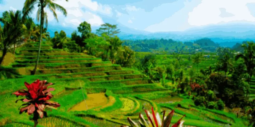 Bali 5 — 5N Kuta