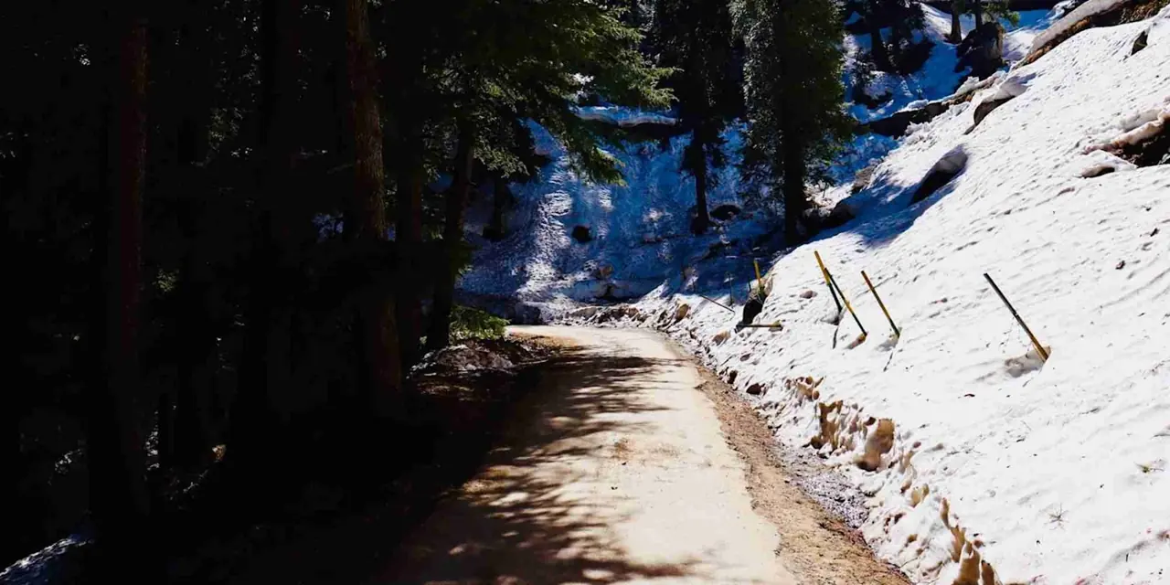 Himachal 14 — Dalhousie 3N