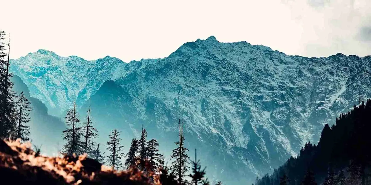 Himachal 8 — Manali 4N