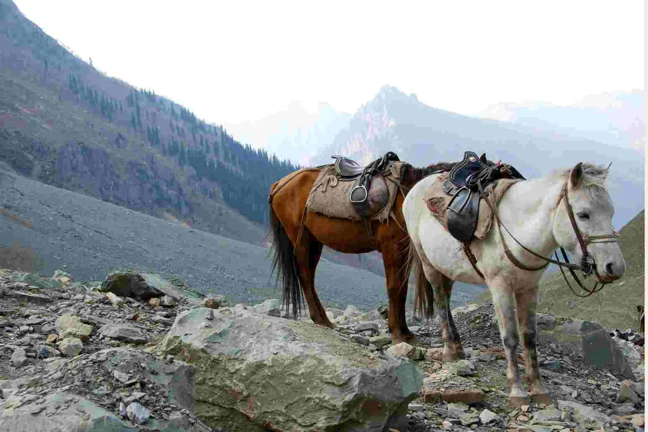 Kashmir 3 — 4N Srinagar + 1N Pahalgam + 1N Dal Lake