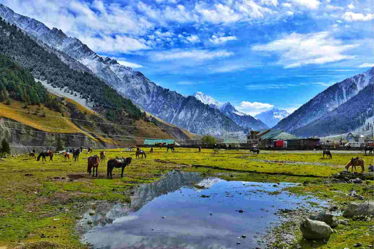 Kashmir 6 — 4N Srinagar + 1N Pahalgam + 1N Dal Lake