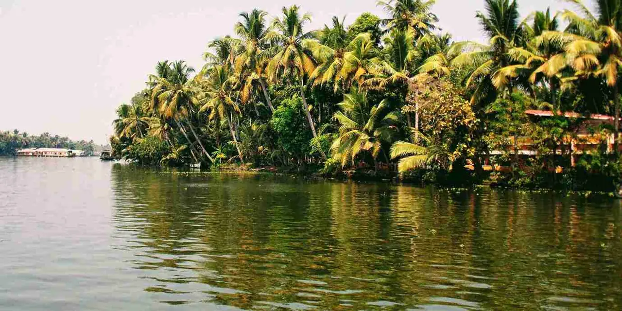 Kerala 22 — 2 NT Munnar + 1 NT Thekkady +2 NT Alleppey
