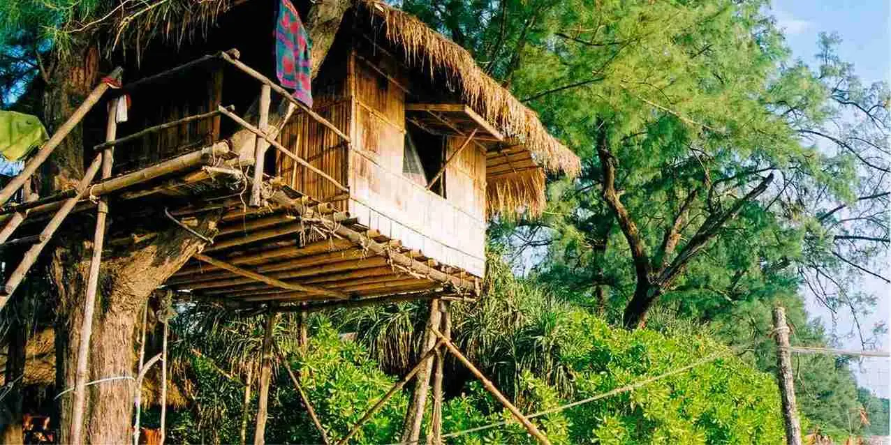 Kerala 19 — 2 NT Munnar + 1 NT Thekkady +2 NT Alleppey