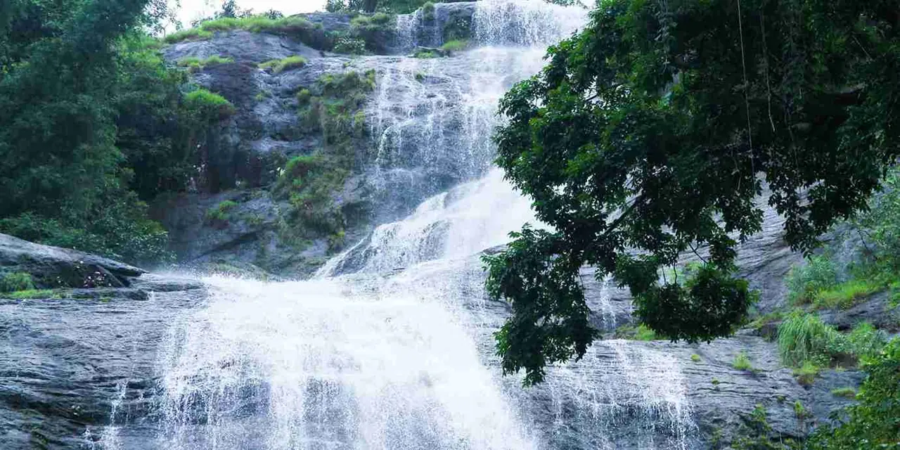 Kerala 3 — 2 NT Munnar + 1 NT Thekkady + 1 NT Alleppey + 2 NT Kovalam with Trivandrum