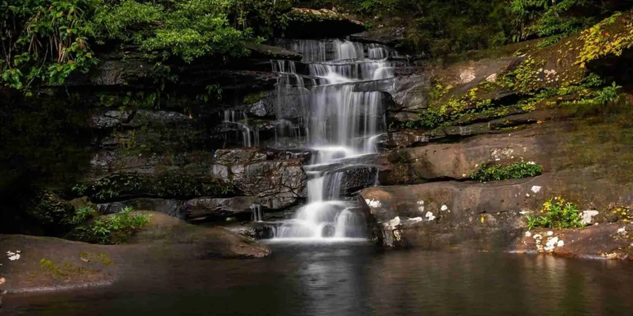 Kerala 16 — 2 NT Munnar + 2 NT Thekkady +01 NT Alleppey