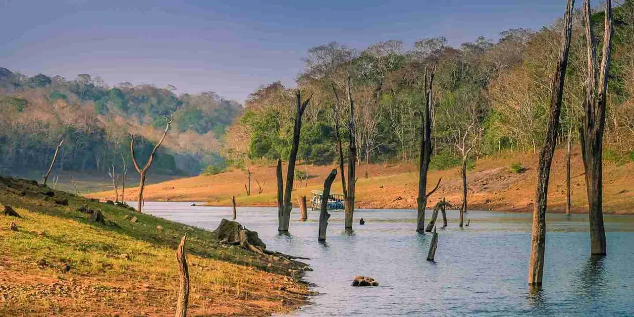 Kerala 5 — 2 NT Munnar + 1 NT Thekkady + 1 NT Alleppey