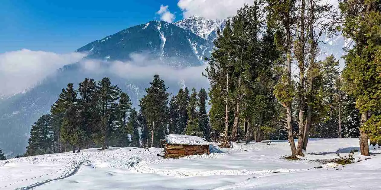 Ladakh 10 — 4 Nights Leh – 1 Night Nubra – 1 Night Pangong