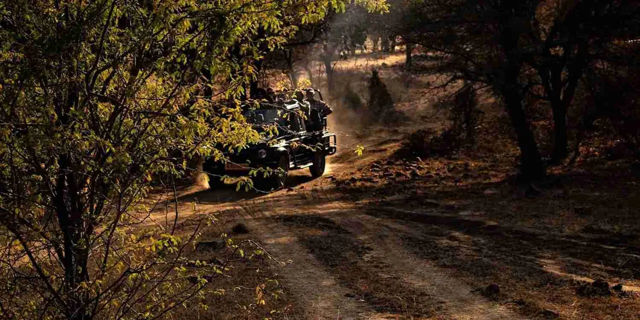 Rajasthan 3 — 1N Agra + 1N Ranthambore + 2N Jaipur