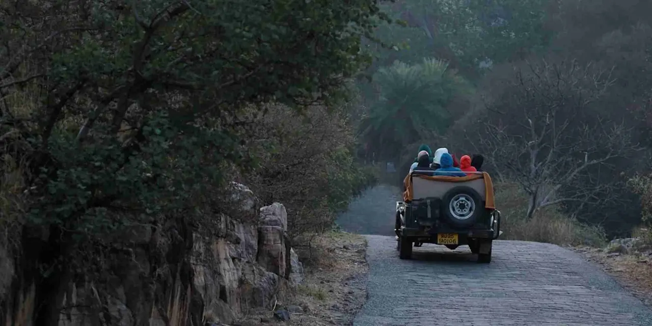 Rajasthan 8 — 1N Agra + 1N Ranthambore + 2N Jaipur