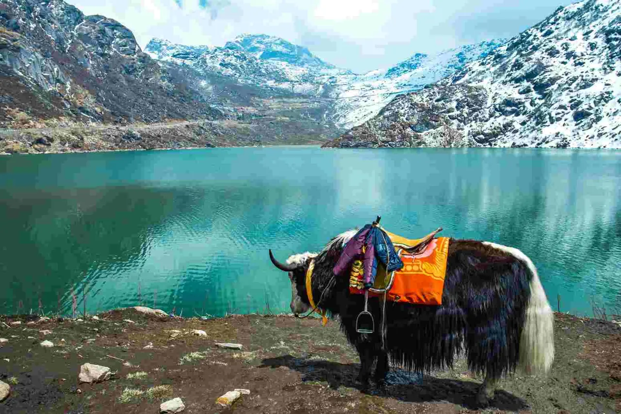 Sikkim 10 — Gangtok 3NT + Pelling 2NT + Darjeeling 2NT