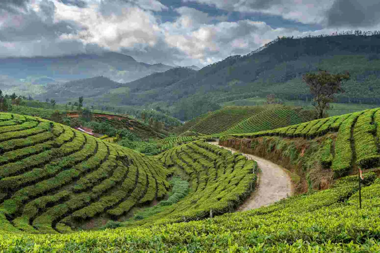 Sikkim 2 — Gangtok 2NT + Darjeeling 2NT