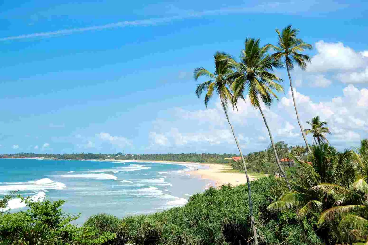 Sri Lanka 24 — 2N Kandy + 1N Nuwara Eliya + 2N Bentota + 1 Colombo